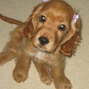 ���������, 23 ����, ����