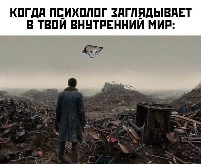   - 25  2025  16:31