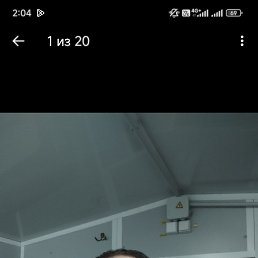 , 36, 