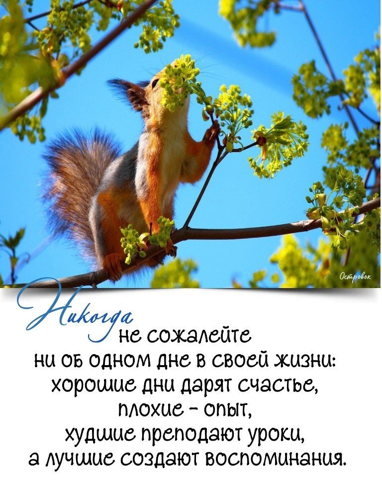   - 19  2024  17:37