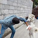 ���� Nikita, �������, 46 ��� - ��������� 12 ������� 2023 � ������ ���� ����������