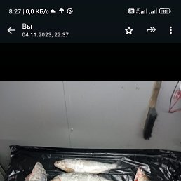 ���� ������, ������, 51 ��� - ��������� 16 �������� 2024