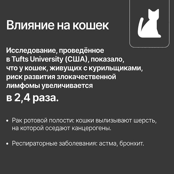 Курение рядом с домашними животными крайне опасно.Дым содержит множество токсичных веществ, которые ... - 3