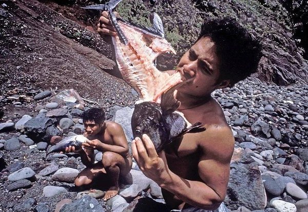  1966            .     ... - 4