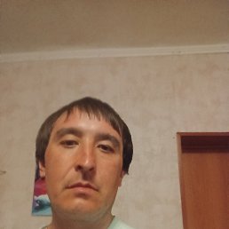 ���� ������ ����������, ������, 39 ��� - ��������� 22 ������ 2024