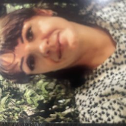 �����, ��������, 44 ����