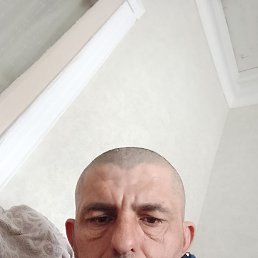, , 41 