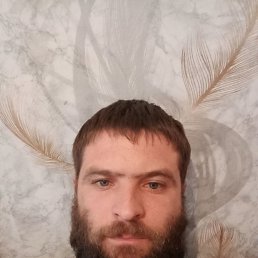  , 39, 