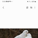 ���� ���������, �������, 64 ���� - ��������� 2 ������� 2024 � ������ ���� ����������