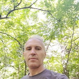 , 34 , 