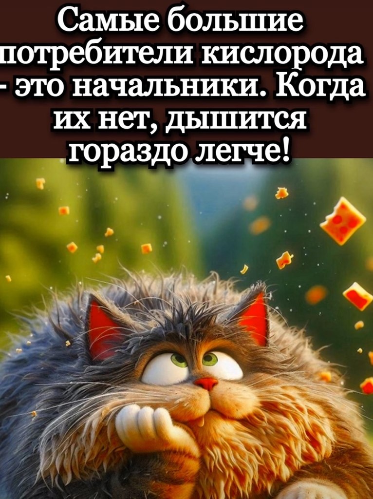  - 31  2025  14:01