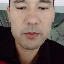 , 40, 