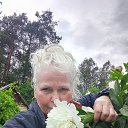 ���� �������, �����������, 62 ���� - ��������� 25 ������ 2026 � ������ ���� ����������