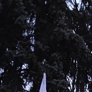 ����, 51 ���, ��������