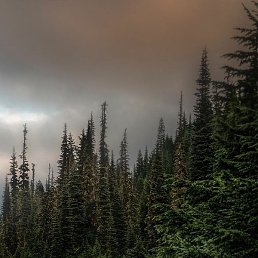 ������, �����-���������, 56 ���