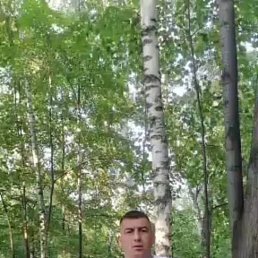 , 37, 