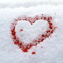 ���� ����, �����-���������, 22 ���� - ��������� 17 ����� 2024