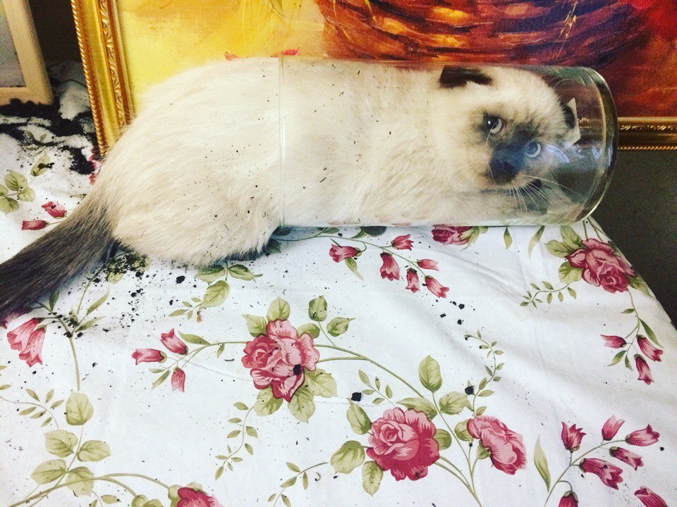 Natali  - 13  2025  10:40