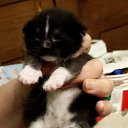 ���� Vladimir, ������, 68 ��� - ��������� 26 ������� 2023 � ������ ���� ������� ������ - ������!�