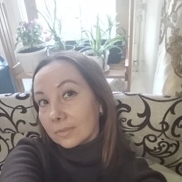���� ��������, �����������, 43 ���� - ��������� 2 �������� 2026