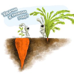 ���, ������, 58 ���