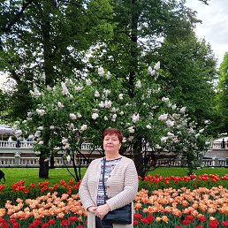 ���� ����, ������, 60 ��� - ��������� 9 ������� 2026