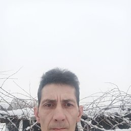 , 47, 