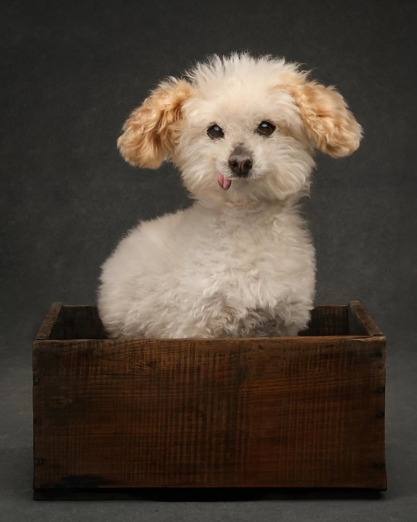 ,  .    ,    ,     18 