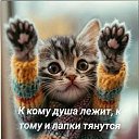 ���� ���������, ����������, 74 ���� - ��������� 20 ��� 2026 � ������ ������ ��������