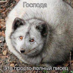 Polar, ������, 47 ���
