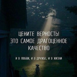 , , 26 