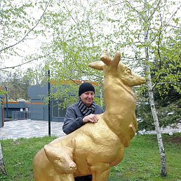 ���� ����, ������, 46 ��� - ��������� 8 ���� 2025