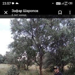 , , 55 