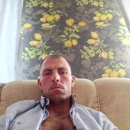  , 37, 