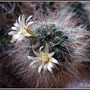 ���� �������, ������ - ��������� 29 ������ 2025 � ������ ���� ����������