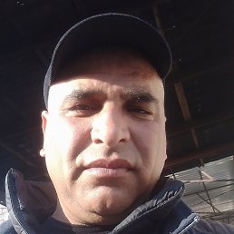 , 43, 