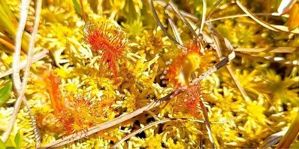� ������ �������� ������ �������� ������ ������� ������������. ��� ������������� �������� �������� � ...