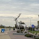  Miracle, - -  26  2025    