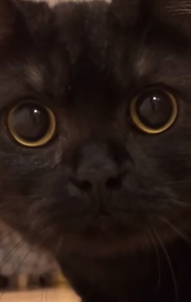       - 2
