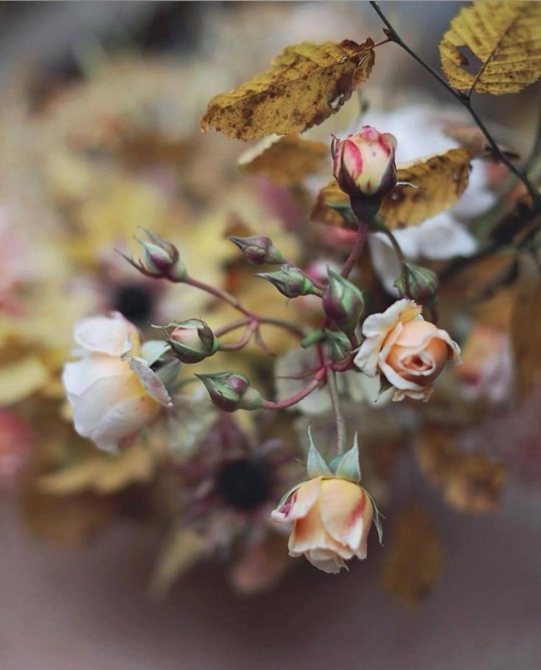 Верность - выбор сильных людей. Настолько сильных, что они могут отказаться от любого соблазна. ...