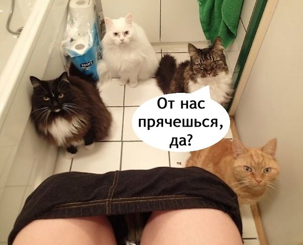 ���� ����� ����, � �� ������ - 2