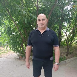  , 65, 