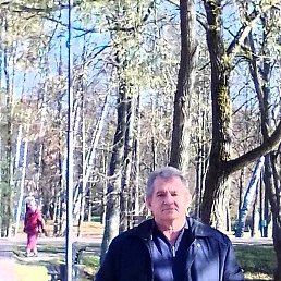 , 61, 