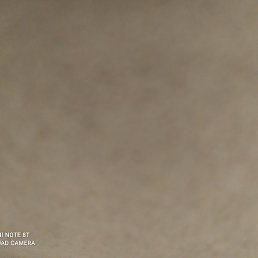 ����, ������, 28 ���