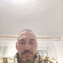 ���� ����������, ���������, 47 ��� - ��������� 7 ������� 2024