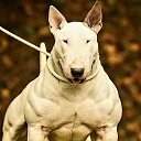 ���� �������, ������ - ��������� 6 ������� 2025 � ������ ������ ��������