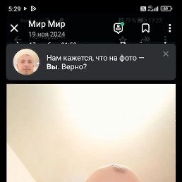 , 47, 