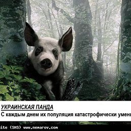 R.n.k, �����-���������, 23 ����