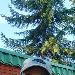 , 53, 