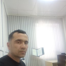 , 40, 